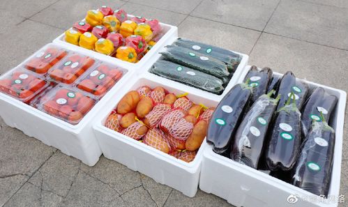 800万爱心接力 鹰角网络捐赠600余吨蔬菜助力上海防疫